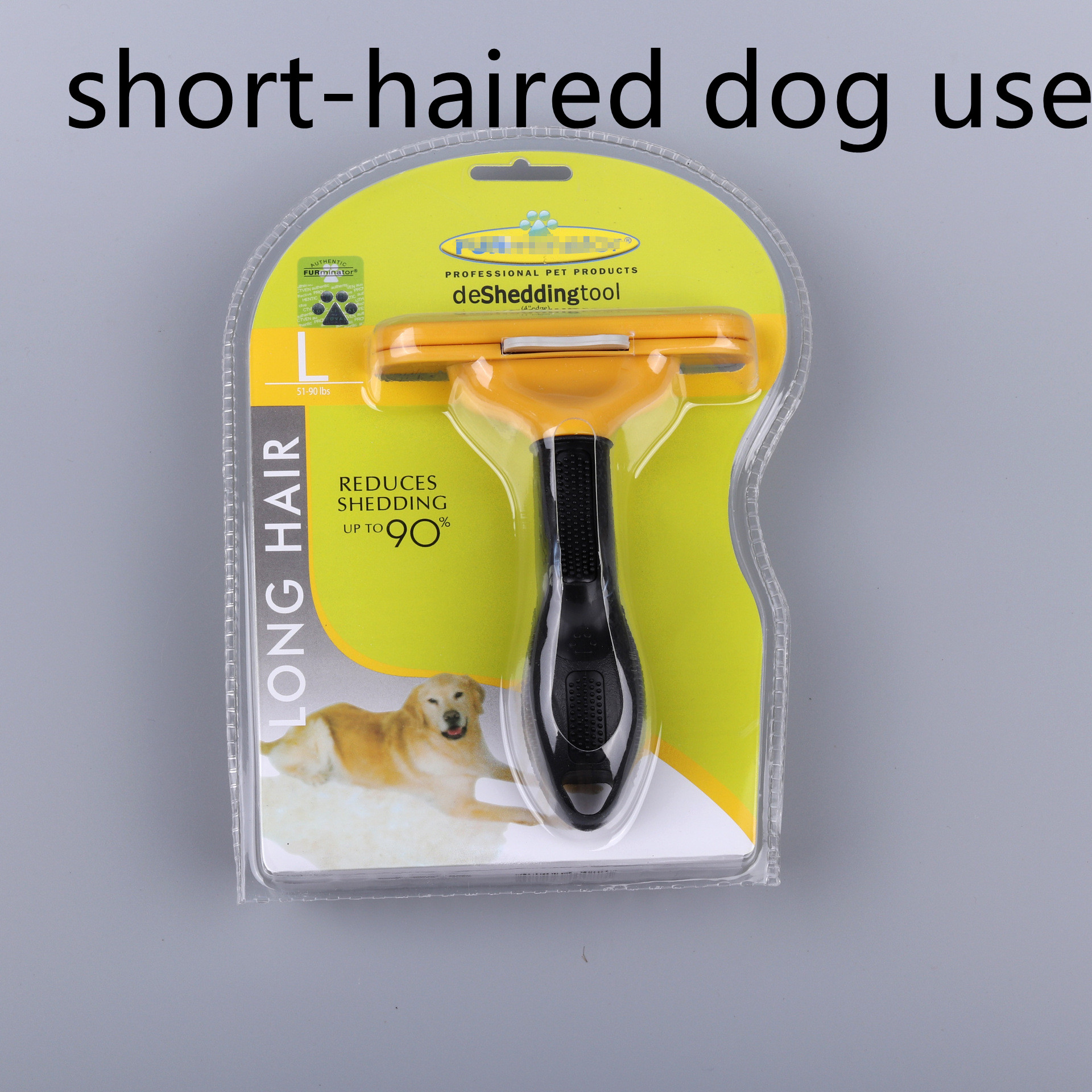 Shorthaired dog use yellow