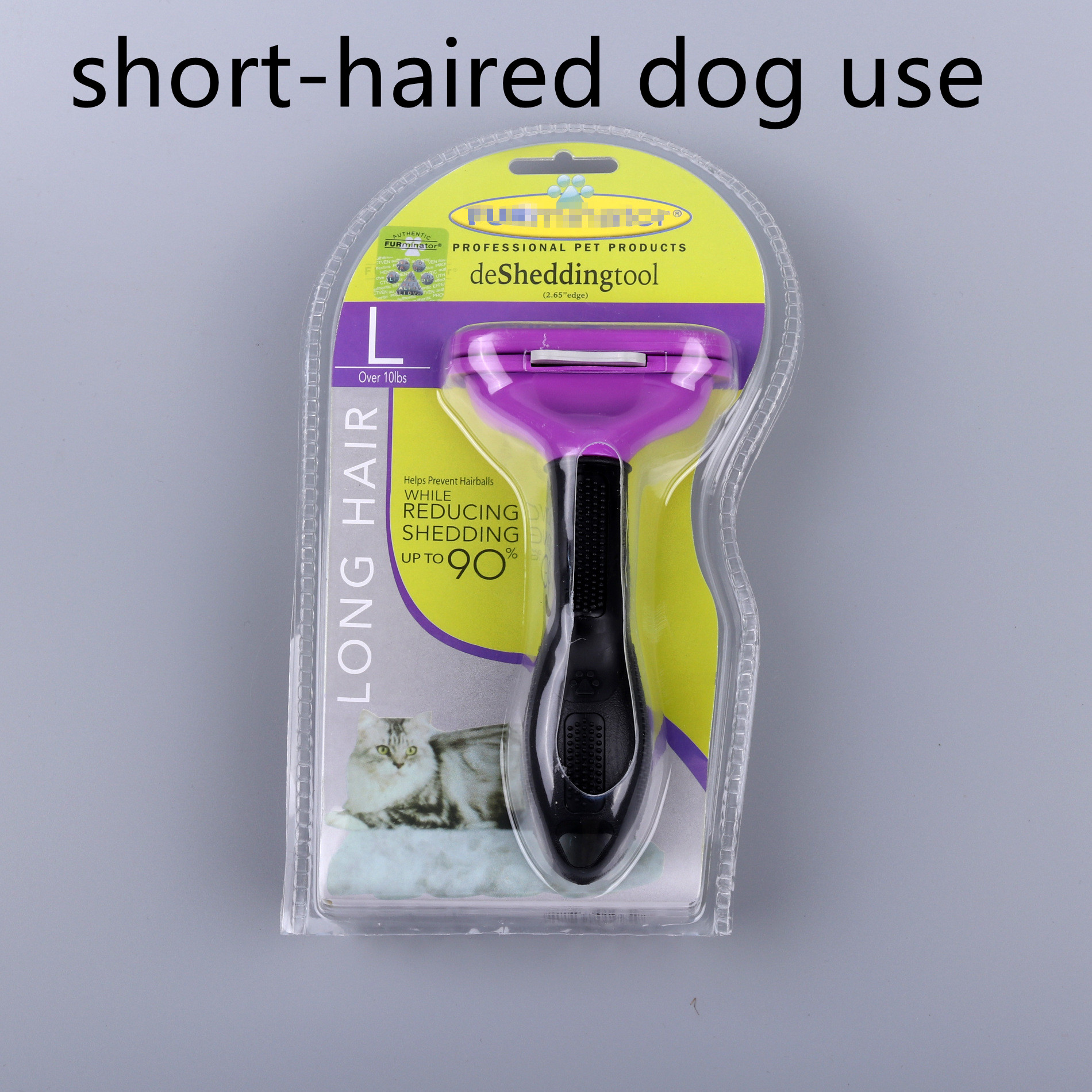 Shorthaired dog use purple