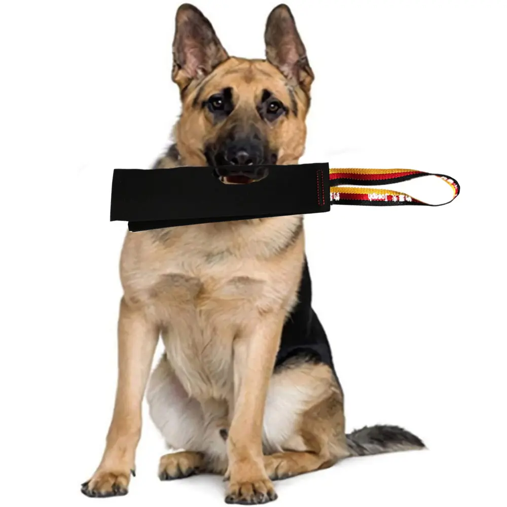 Crazy Horse-dog Bite Cloth Dog Training