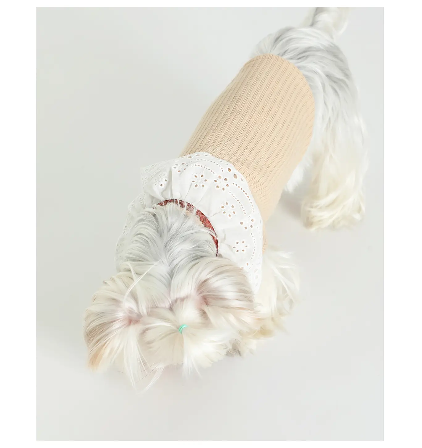 Pet Floral Neck Bow Cute Vest Clothes