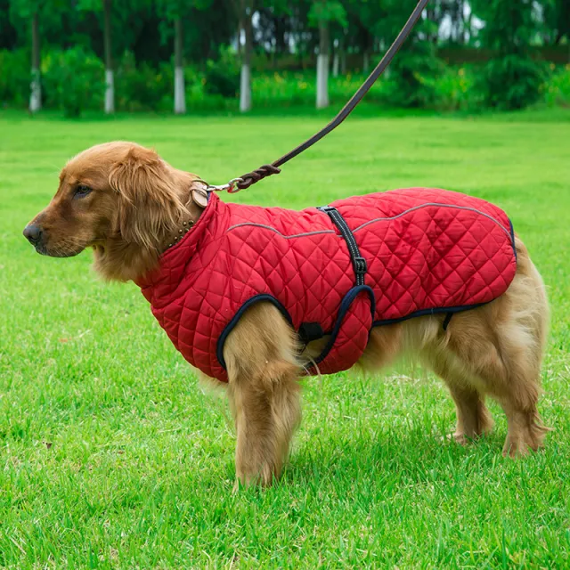 Adjustable Warm Pet Cotton Jacket Red - Shop at LoveMi