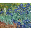 Color7