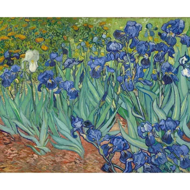 Digital Oil Painting Coloring Painting Frameless Oil Color7 - Shop at LoveMi