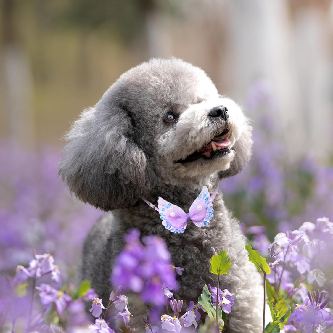 20Pcs Cute Dog Collar Grooming Accessory For Small Breed Puppies Cats — foto 2