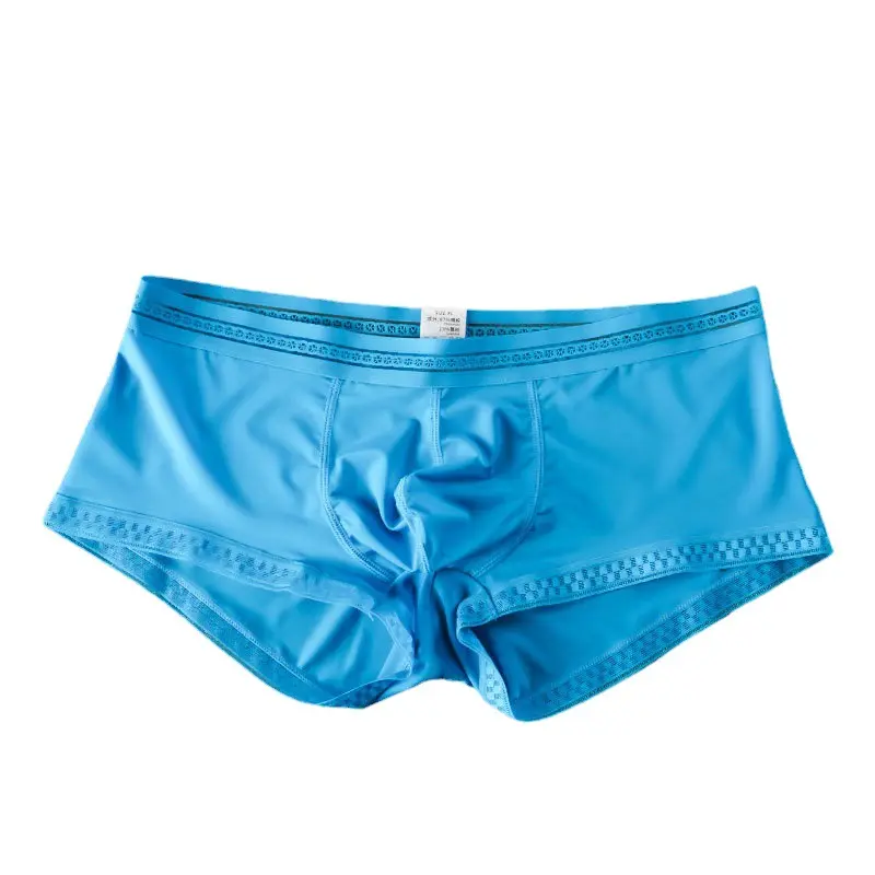 Summer New Translucent Ice Silk Underwear Men