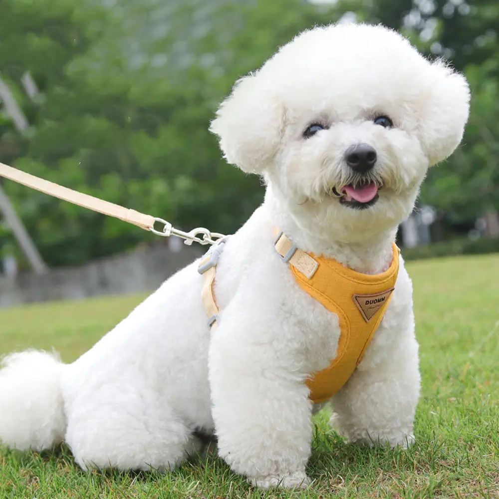 Dog Breast Strap Anti Breaking Loose Pet Harness Small