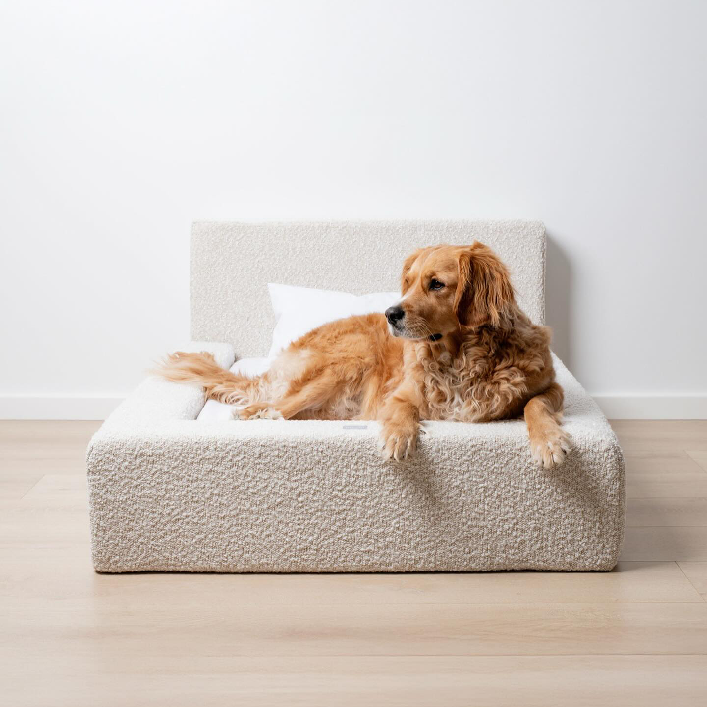 Dog Mat, Movable Rectangular Sponge Cat Bed Backrest, Pet Sofa, Suitable For Small, Medium And Large Cats And Dogs, Mat Bed, Dog Pet Accessories, Bedding thumbnail 4