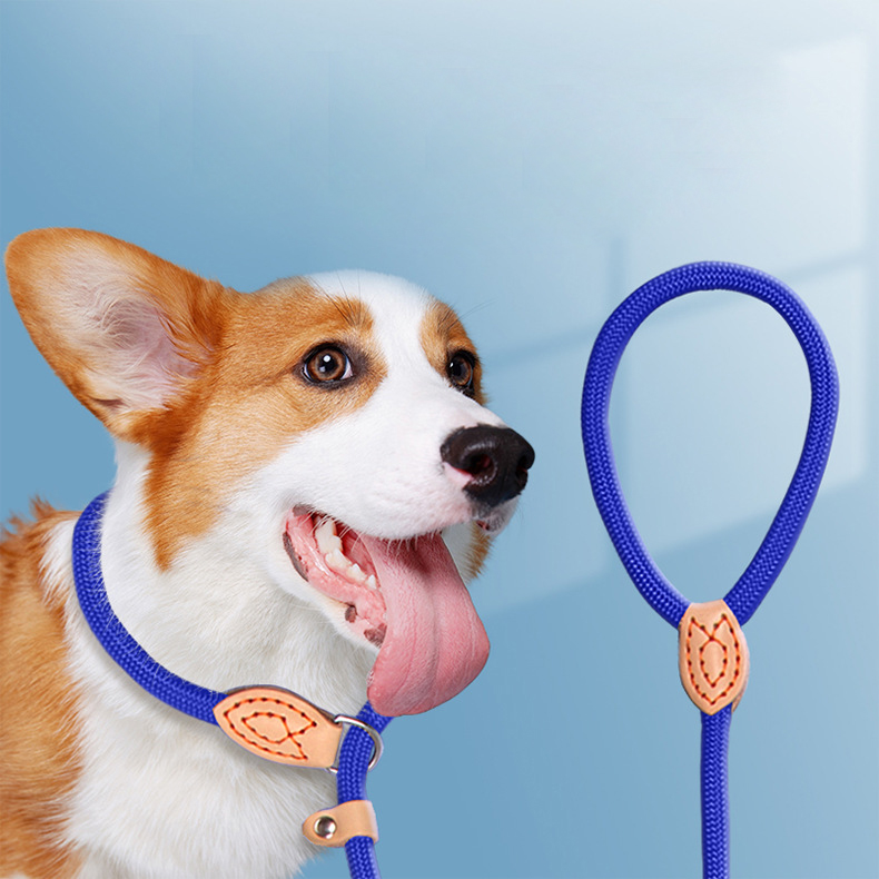 Dog Leash Specializing In Blast Race Level Training P Rope Collar Leash Blast Collar Collar Automatically Tighten The Dog Leash