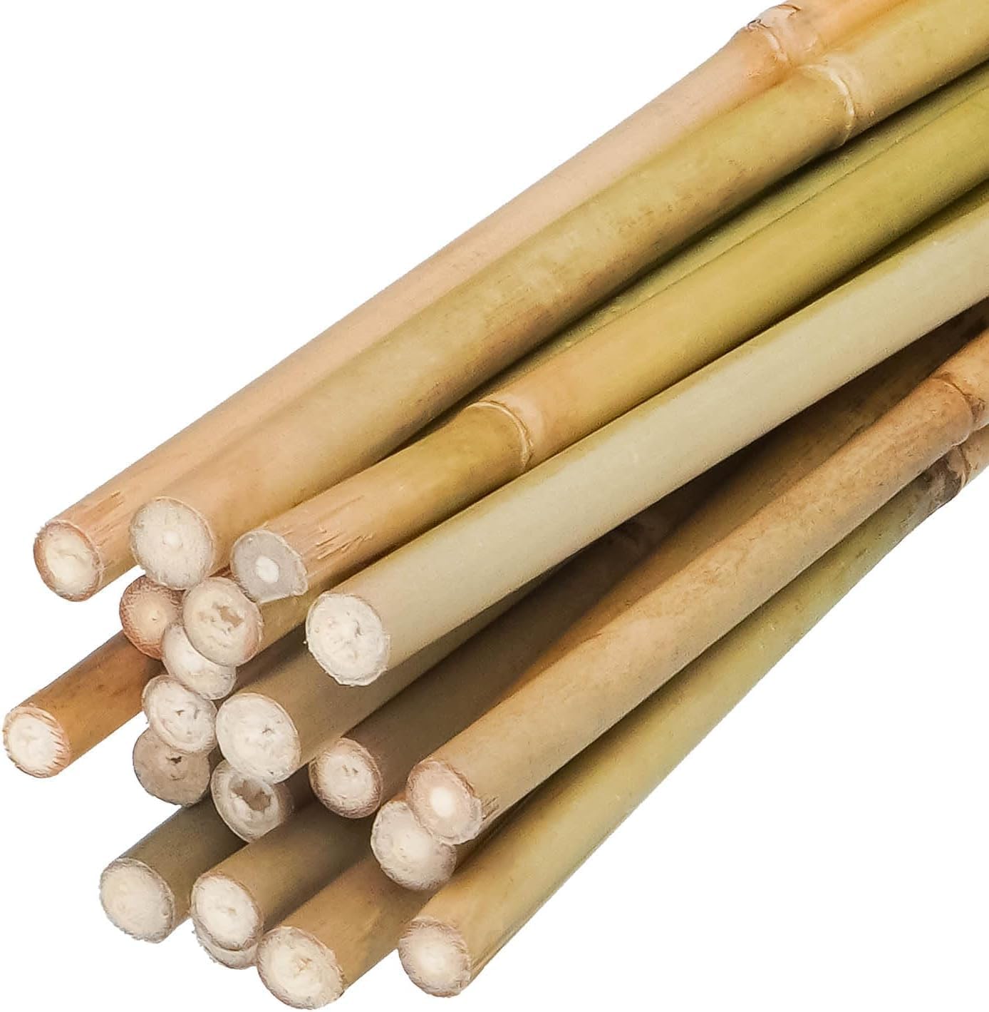 Natural Bamboo Plant Stakes, 25 pcs