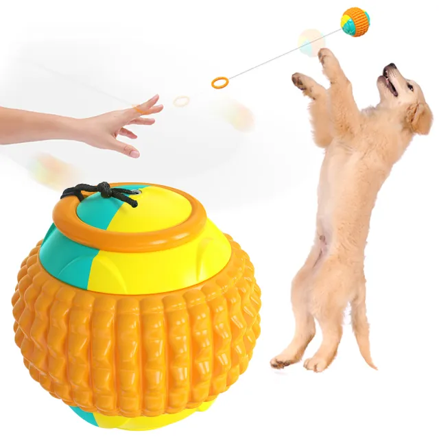 Biting A Dog Training Golfers Throwing And Throwing Toy Balls Orange - Shop at LoveMi
