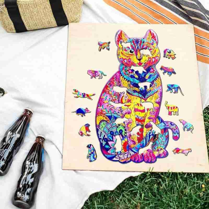 The Same Irregular Gift Toy Wooden Puzzle