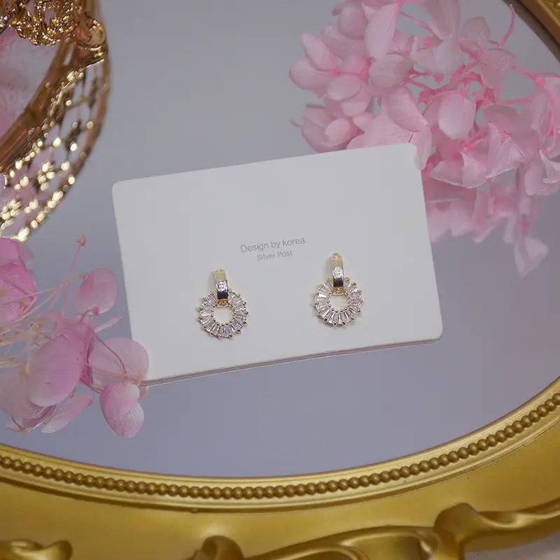 Silver Needle Exquisite Micro-inlaid Zircon Temperament Earrings Female Earrings Art