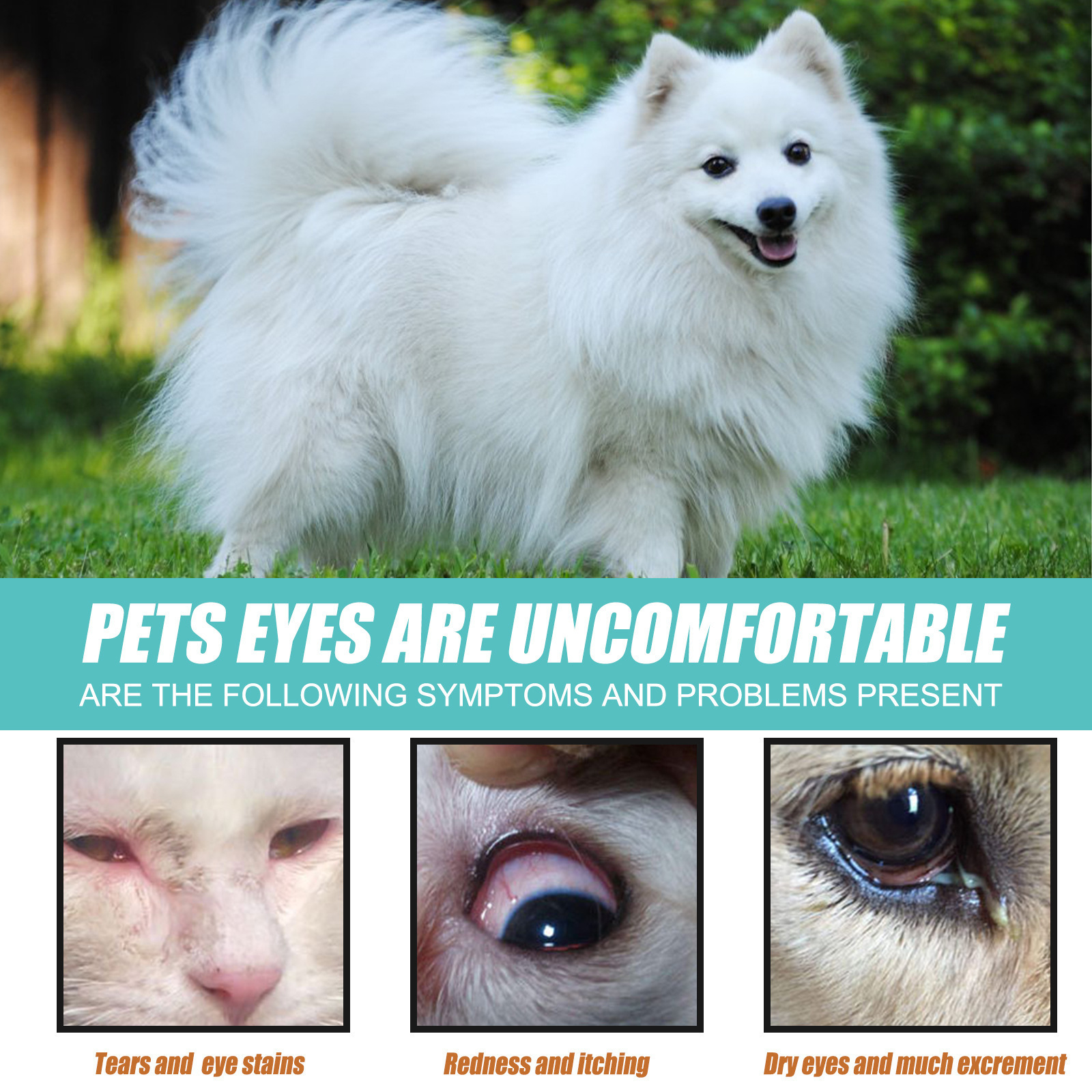 Yegbong Dog Tear Gland Essence, Pet External Eye Tear Stain Remover For Cats And Dogs — foto 3