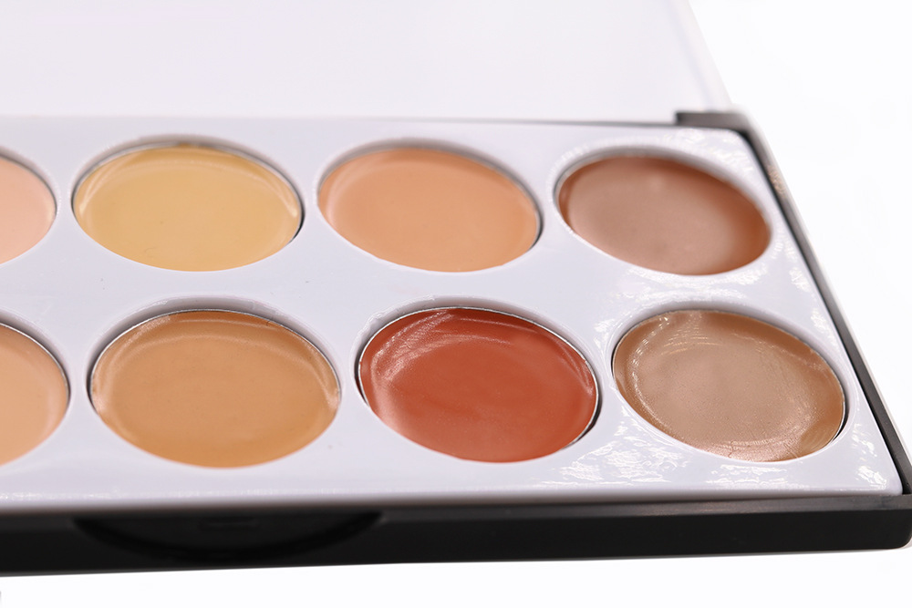 Professional Concealer Palettes