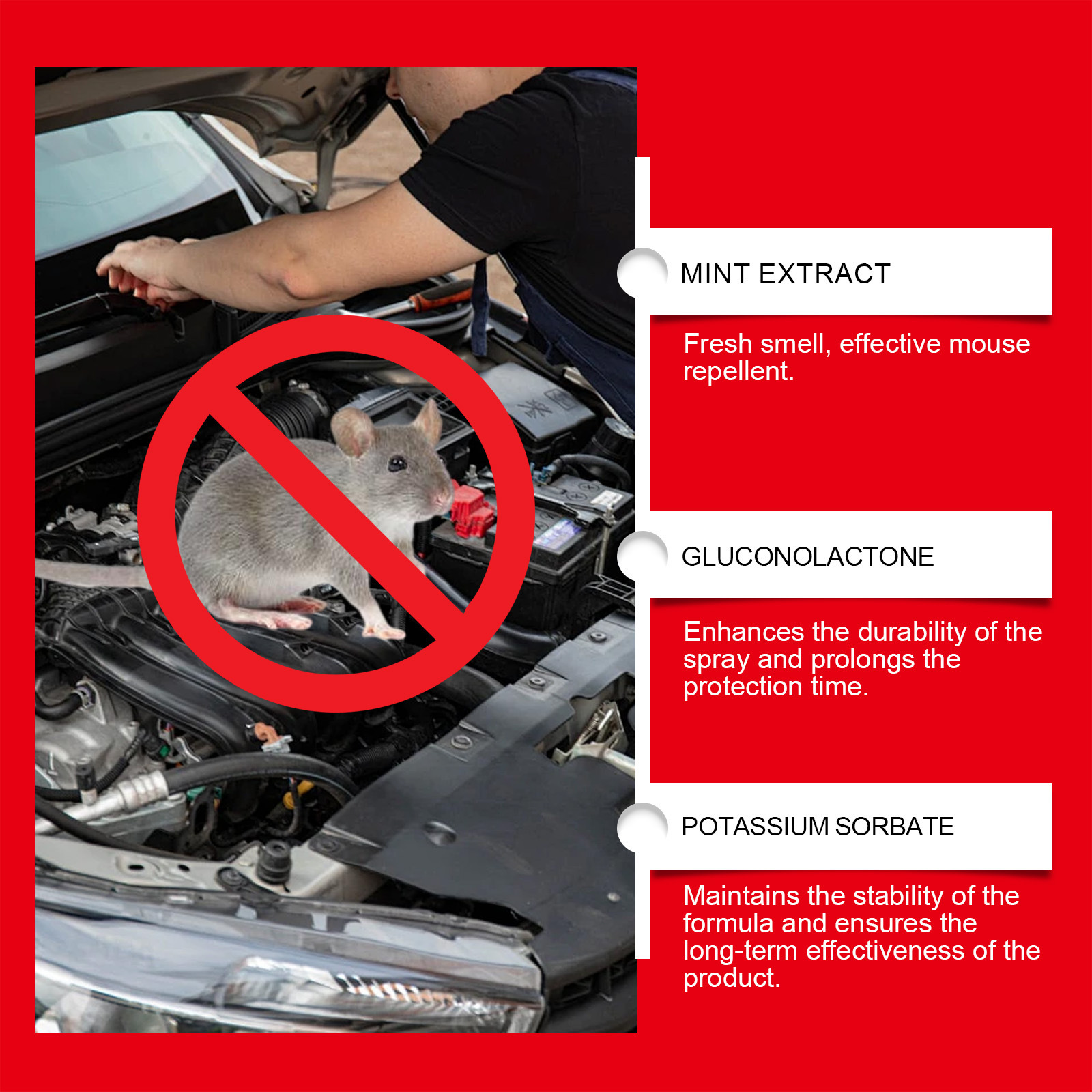 Rayhong Car Engine Rodent Repellent Spray - Car-Specific Rodent Repellent Spray For Car Engine Compartment Rodent Repellent 4