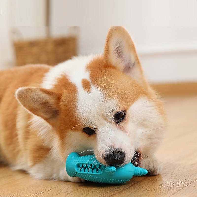 Bite-resistant Easy-to-clean Pet Dog Sound Grinding Machine - Image 7