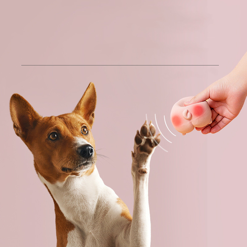 Pet Toy Latex Fart Interactive Soft Sound