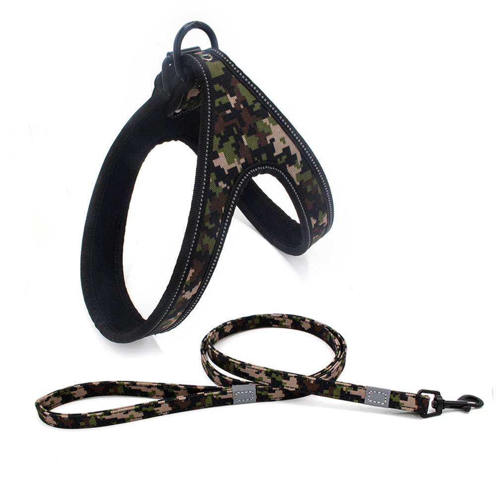 Camouflage same color leash