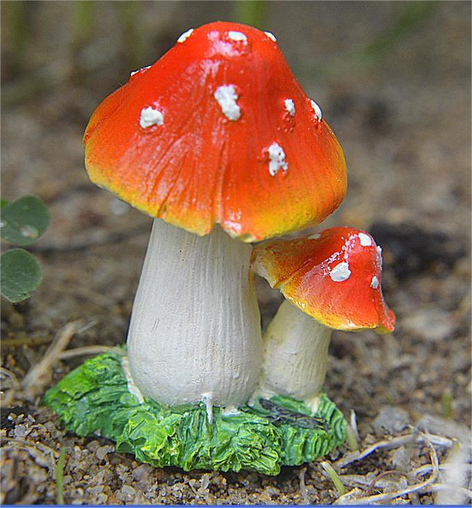 A Orange mushroom