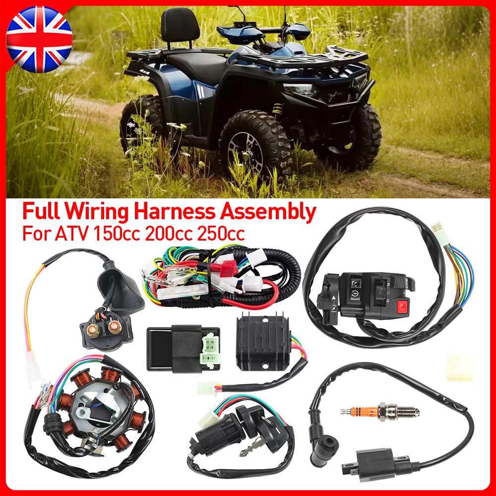 Full Wiring Harness Stator Loom Coil Rectifier CDI Quad 150-250cc — image 10