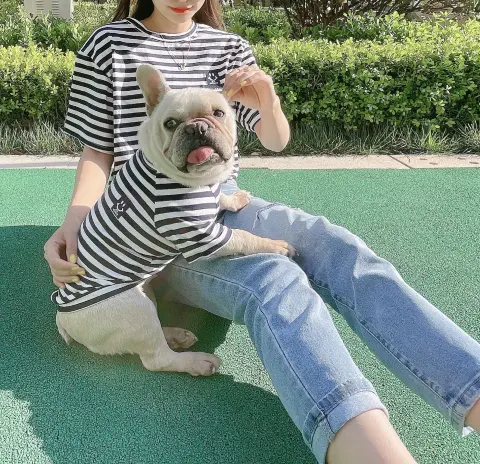 Striped Modal Cotton T-shirt Small Dog Cat Bipedal Parent-child