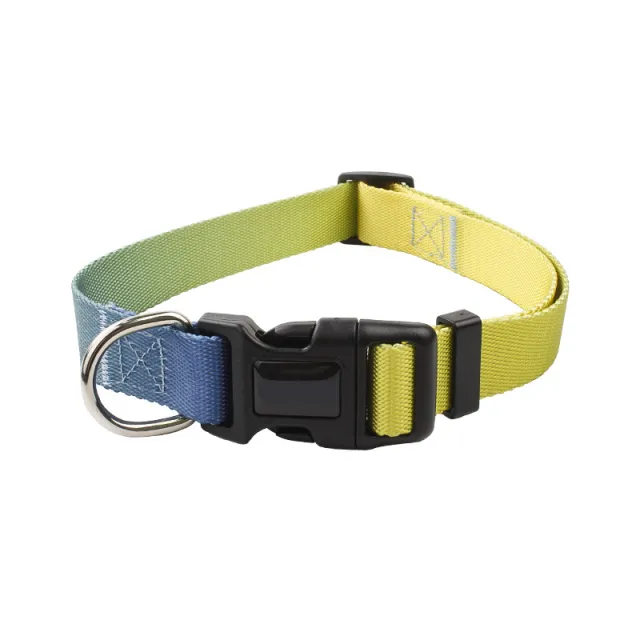 Nylon Pet Collar Traction Rope Set Yellow Gradient - Shop at LoveMi