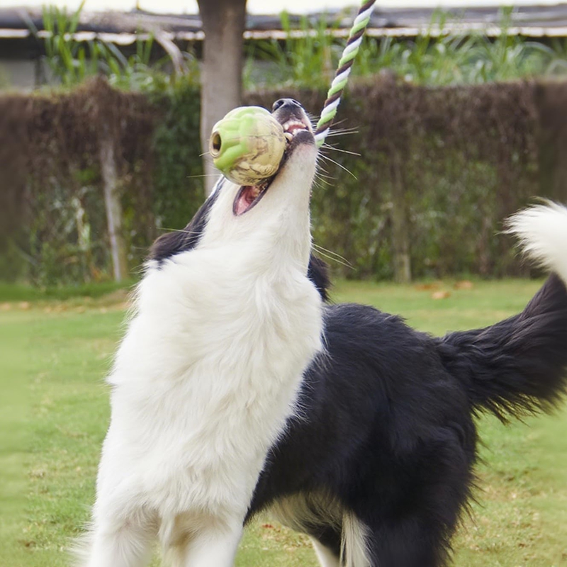 Ball Knot Dog Toys, Interactive Puppy Toys For Tug-of-war, Eco-friendly Cotton Rope Toys, Medium And Small-sized Dog Breeds, Not Suitable For Dogs With Strong Aggressive Chewing