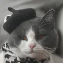 Black Hat