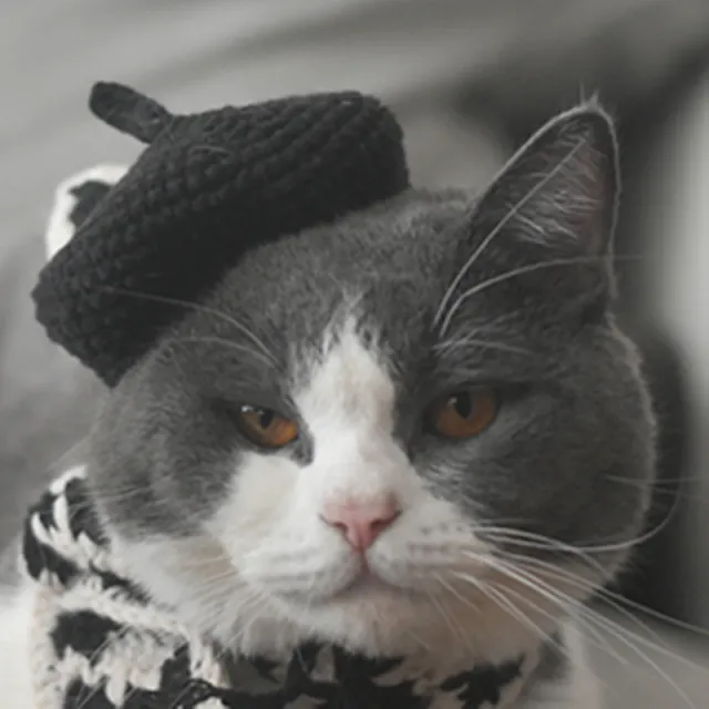 Small Hat Beret Knitting Plaid Small Scarf Dog Black Hat - Shop at LoveMi