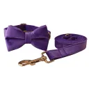 Bow Set