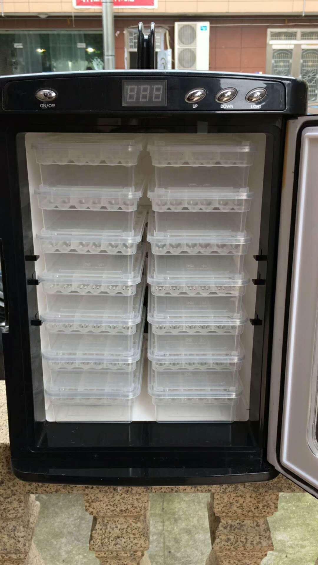 Crawling Pet Hatching Egg Holding Lizard Snake Reptile Tortoise Hatching Device