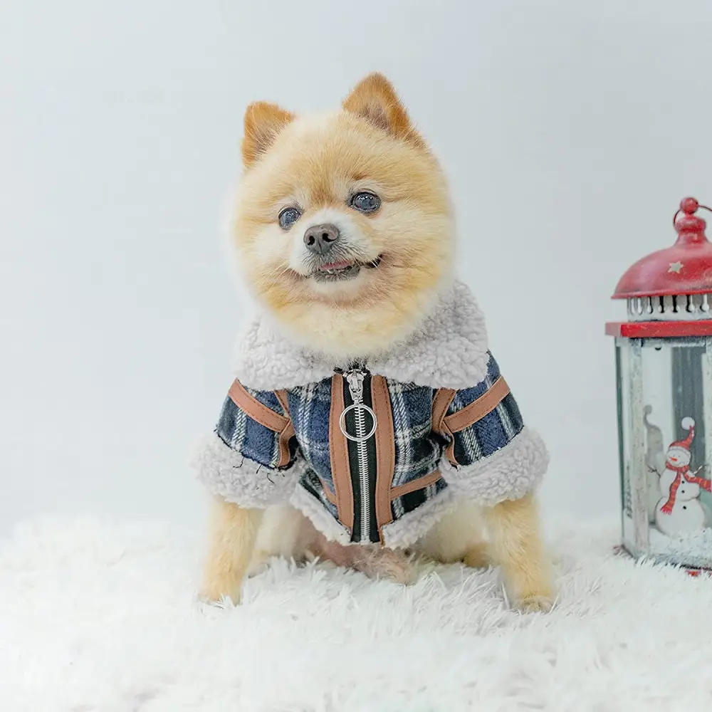 Pet Two Legged Clothes Autumn and Winter Plaid Warm