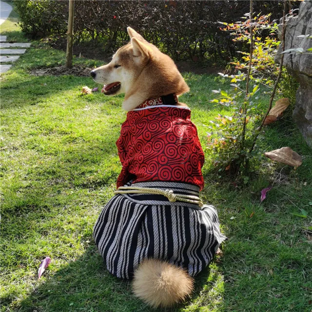 New Pet Dog Samurai Zephyr Clothes Red - Shop at LoveMi