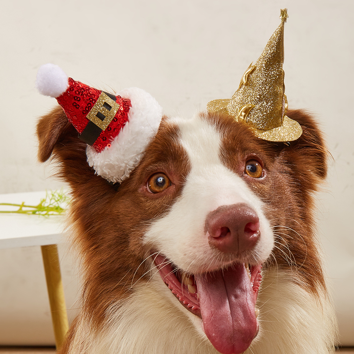 Halloween Hairpin Christmas Hat Witch Hat Dog Headdress Hat