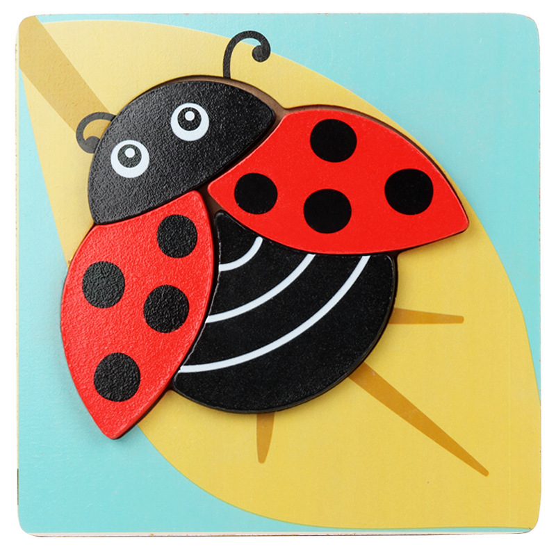 Ladybug2