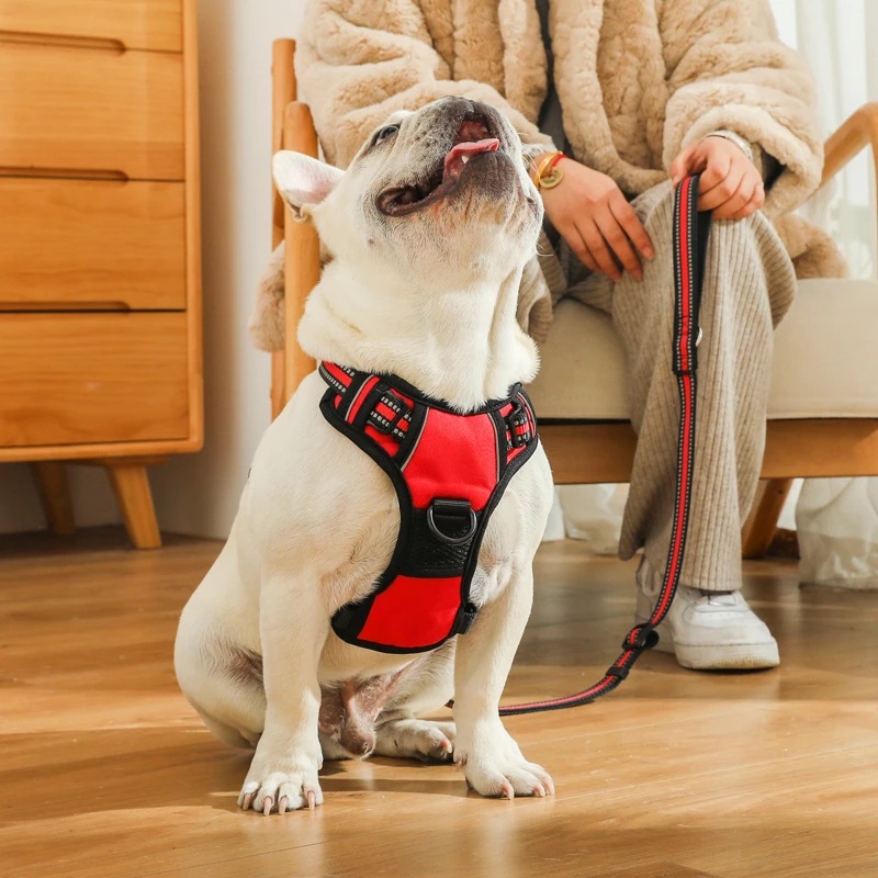 Dog Chest Strap Explosion-proof Vest