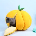 Thickened Orange Nest