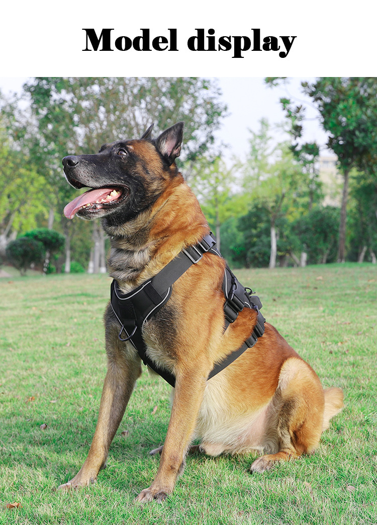 Secure no-pull tactical harness for medium and large dogs, designed for control and comfort.