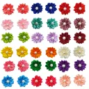Ha004 Random