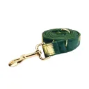 Dog Leash1