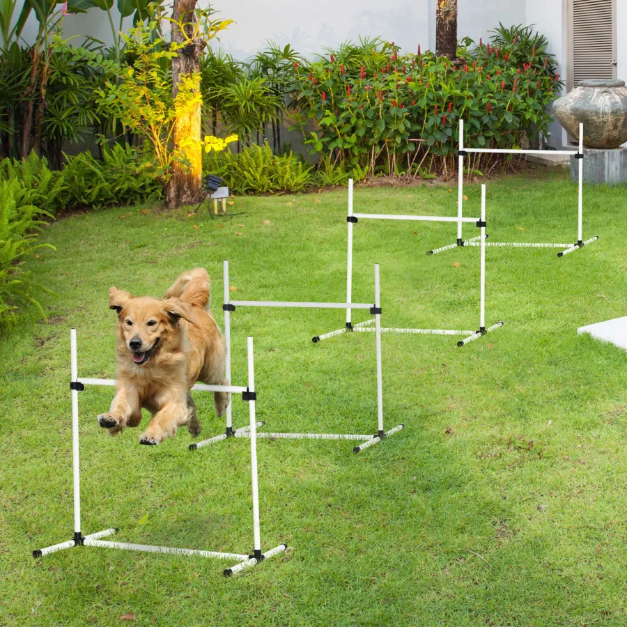 4-piece Dog Agility Training Equipment With