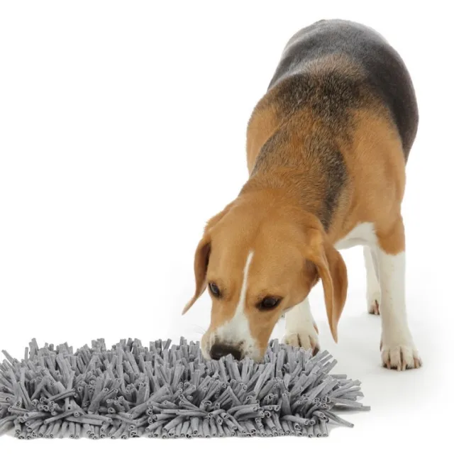 Pet Sniffing Dog Foraging Training Mat Grey - Shop at LoveMi