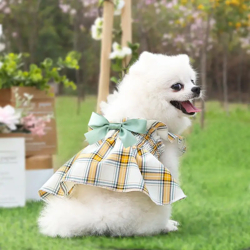 Small And Medium-sized Clothes Walking The Dog Princess
