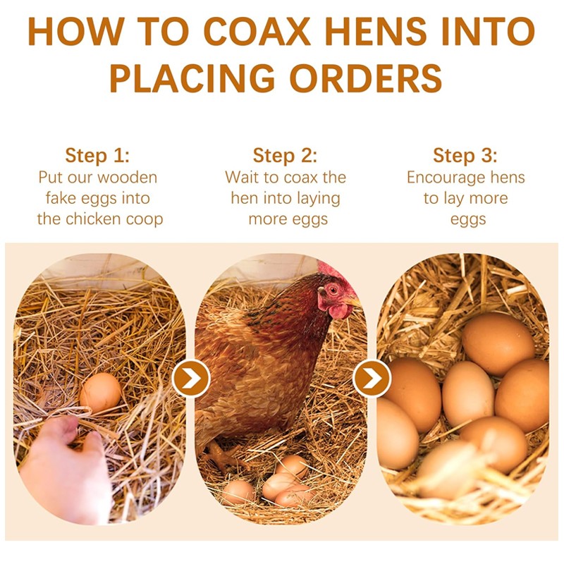 6PCS Fake Wooden Chicken Eggs Help Hen Lay Eggs Agricultural Tool For Chicken UK