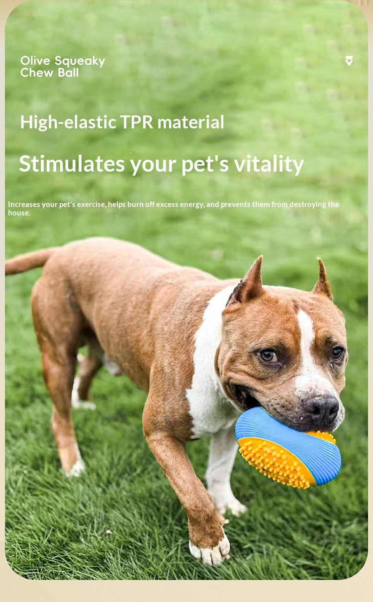Pet Toy Dog Chew Toy For Teething And Sound-Making, Rugby Ball For Small And Medium-Sized Dogs, Interactive Play Chew Toy Ball detail photo 1
