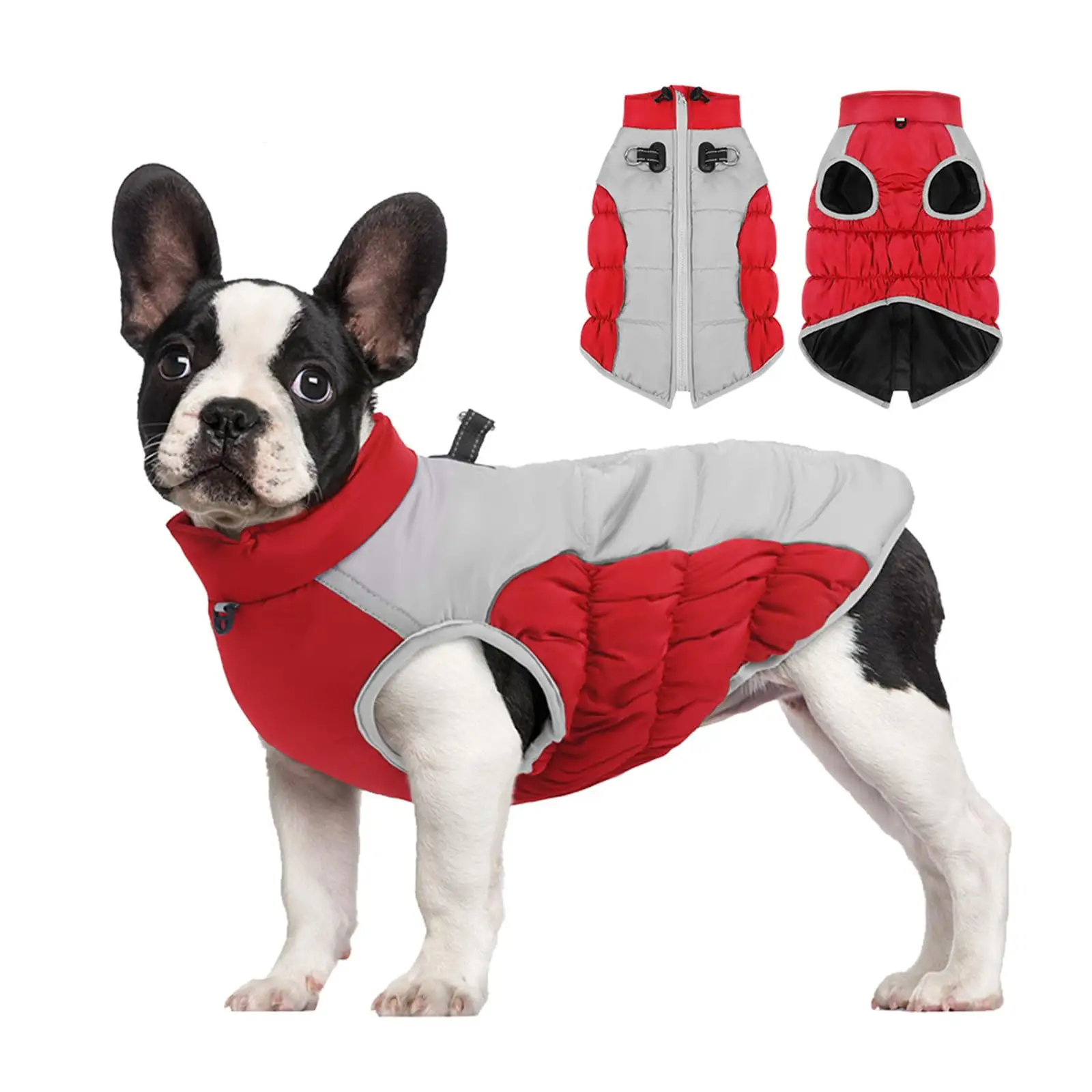 Dog Cold Weather Coats - Cozy Waterproof