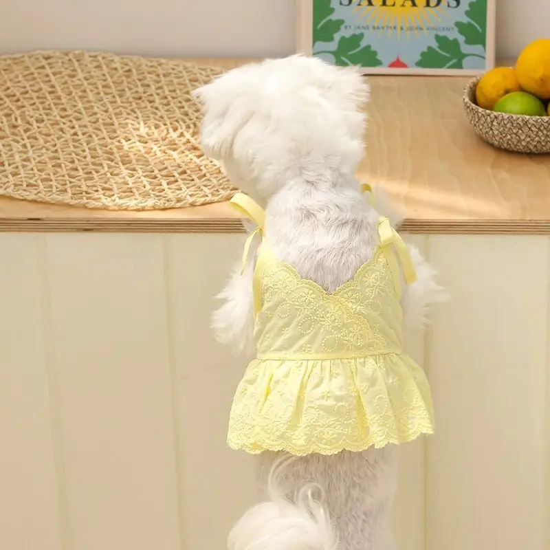 Main Sling Short Skirt Bowknot Hairpin Cat Thin Pet Clothes