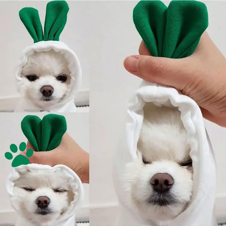 Puppy Dog Teddy Cat Plus Fleece Hooded Sweater Pet
