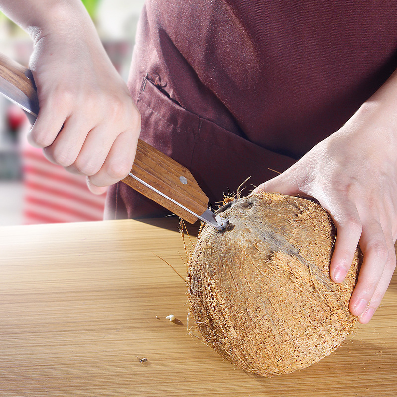 Title 5, Use More Coconut Shells And Meat Kitchen Tools ...