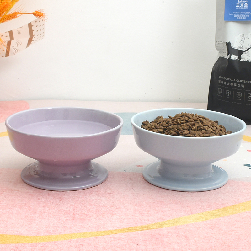 Ceramic Pet Tall Bowl For Cervical Spine Protection